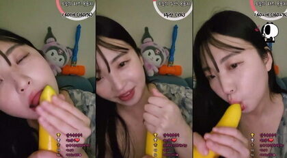 CN-24080305 CN24080305